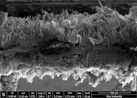 Seen in an electron microscope image, micron-scale sheets of graphene