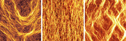 microtubules forming patterns