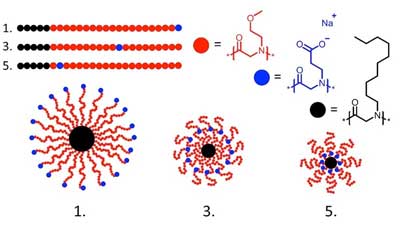 The position of a charged monomer (blue dots) along a polymer chain impacts the final structures (structures 1, 3, and 5 from the sequence library) following assembly into micelles (bottom)