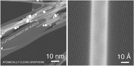 scanning transmission electron microscope image of single-walled carbon nanotubes on graphene