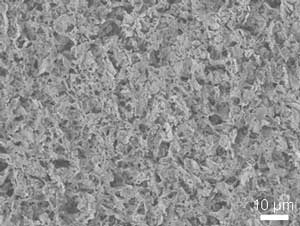 Microscopic image of a cathode nanostructure.