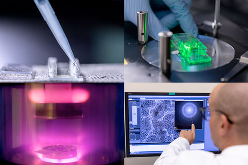 stages of the sample preparations performed for single-molecule fluorescence and cryo-TEM microscopy