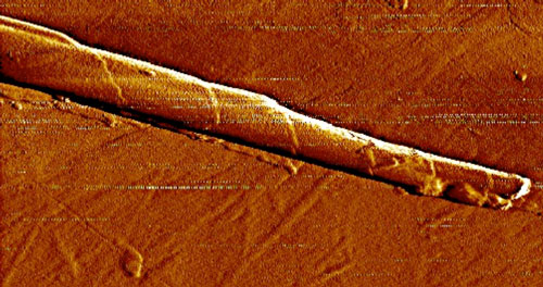 Image of a C16-K1 cochleate formed in 10 mM salt concentration
