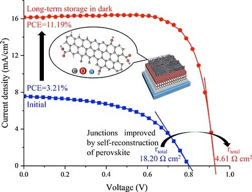 Self-recrystallization of functionalized CNT-covered perovskite