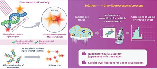 Schematic illustration of a new approach in fluorescence microscopy for biomolecules with nanometer-scale precision