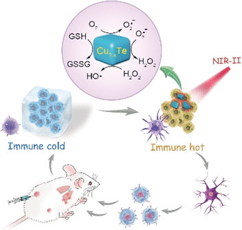 Artificial Enzyme Catalyzed Cascade Reactions: Antitumor Immunotherapy Reinforced by NIR-II Light