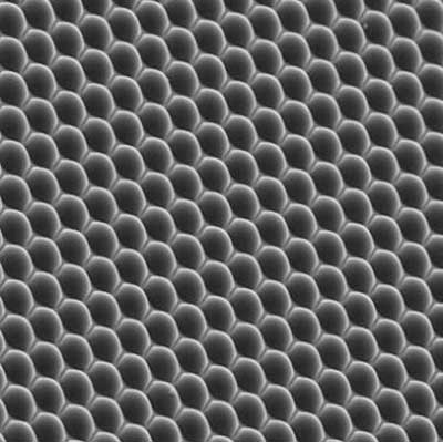 A close up of the film which combines nanocrystals and microlenses to capture infrared light and convert it to solar energy