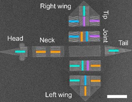 The scanning electron microscope image shows the bird-like construct with arrangements of nanoscale magnets