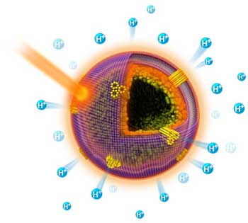 Plasmonic artificial cells are formed by self-assembly of Au–Ag nanorods into hollow compartments
