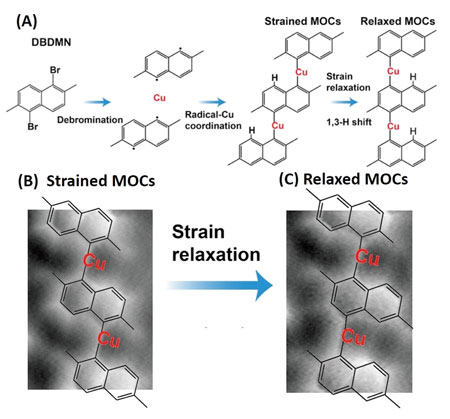 synthesis of metal-organic chains (MOCs) and their structural relaxation on a copper substrate