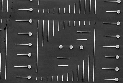 nanodisks and nanorods