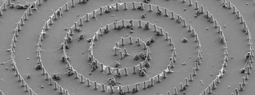Ultra-long, guided neurites stretching along a spiral pattern of several centimetres in total length