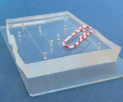 A microfluidic chip, shown with a paper clip for scale