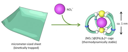 Converting a Microsheet into a Spherical Cage
