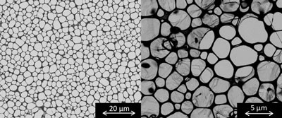 empty wells are seen in the transmission electron microscopy grid (left) and the thin sheet is visible stretching over the same wells