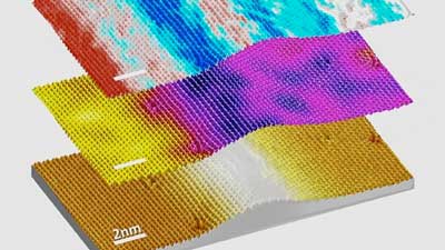 Scanning tunneling microscopy topography of a rippled MoS2 single layer