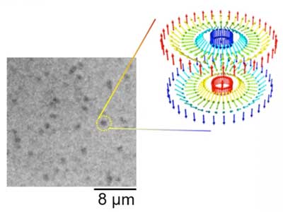 Kerr microscopy image of the formed skyrmions