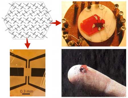 organic transistor