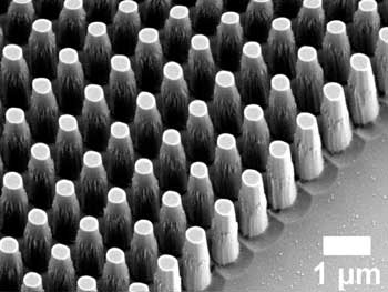 SEM image of nanopillars