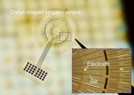 Fabricated donut-shaped kirigami device (inset: embedded electrodes)