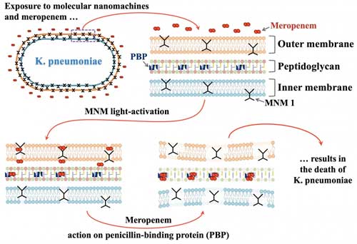 illustration shows how motorized nanomachines triggered by light drill into bacteria, making a path for antibiotics