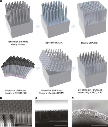 silicon microwire arrays