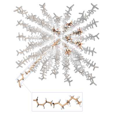 polymer nanofiber