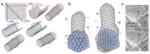 carbon nanotubes