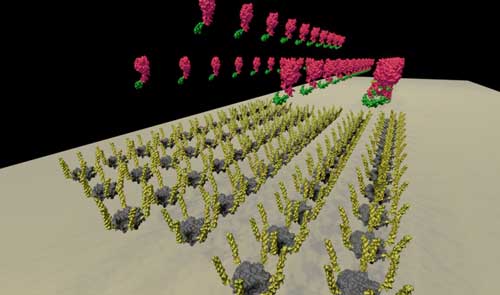 BMC-H proteins (grey) with added extensions (yellow) form scaffolds and act as homing beacons to attract the glowing molecules (pink)