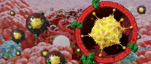 viral-based nanovaccine