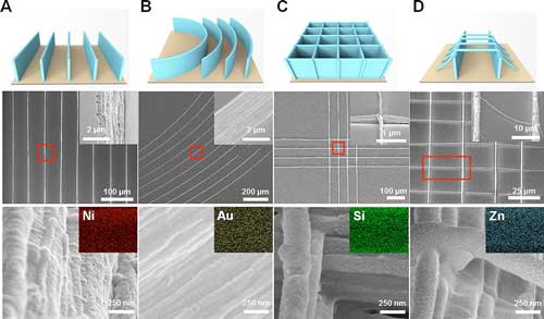 Various 3D printed 40-layer high nanoarchitectures coated with different functional materials
