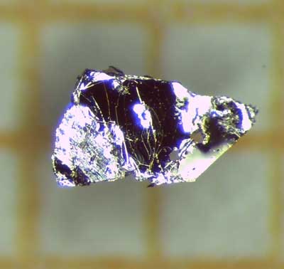 Single crystal of the material manganese bismuth telluride, almost one millimeter in length
