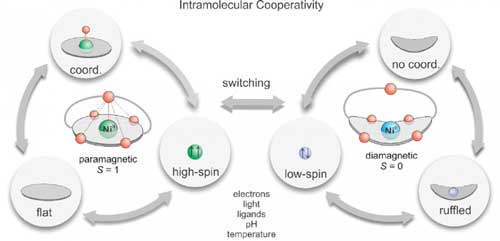 Intermolecular Cooperativity