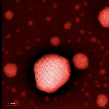 gold nanoparticle