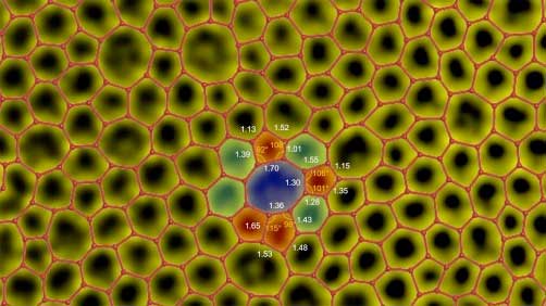atomically thin amorphous carbon film