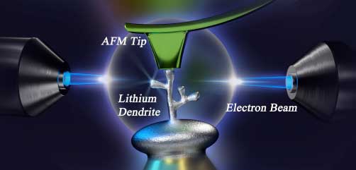 A lithium dendrite is imaged and stress tested under an atomic force microscope tip