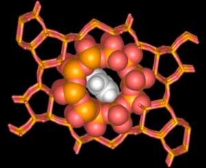 Zeolite Nanoporous Catalyst