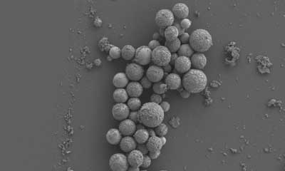 magnetic liquid metal nanoparticles.