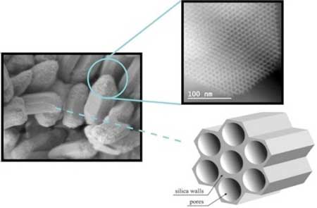 Silica particle