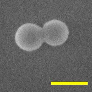 nano-scale rotor made from silica nanoparticles