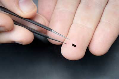 AFM cantilever on a hand
