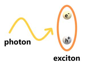 Exciton polariton