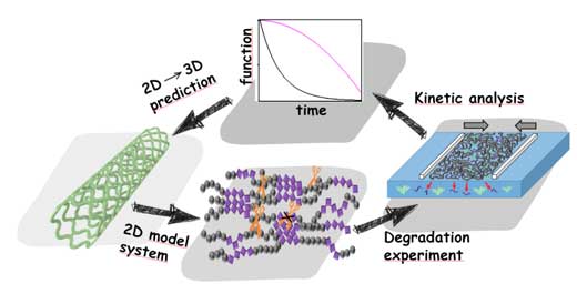 Predicting the degradation behavior of advanced medical devices