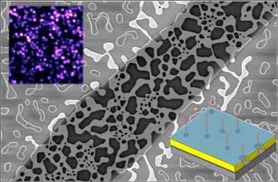 Suspended two-dimensional crystals over pores in a slab of gold