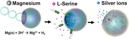 Onion-like Multifunctional Microtrap Vehicles for Attraction–Trapping–Destruction of Biological Threats