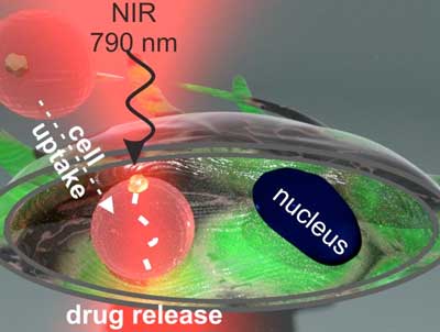 Drug release inside the cell