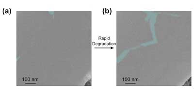 An image of void coalescence