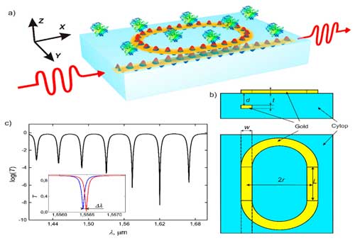 Biosensor layout