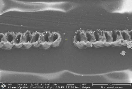 A scanning electron microscope image shows two traces of laser-induced graphene on a polyimide film