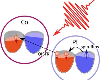 Simple picture of the electron reservoirs of magnetic atoms in a CoPt-alloy